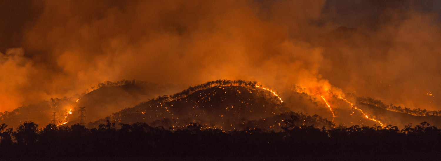 Bush fire with flames and smoke